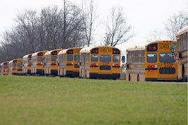 School Bus Contractors